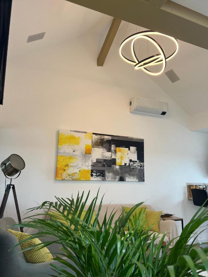 Loft ravissant avec parking gratuit Lägenhet Colmar Exteriör bild