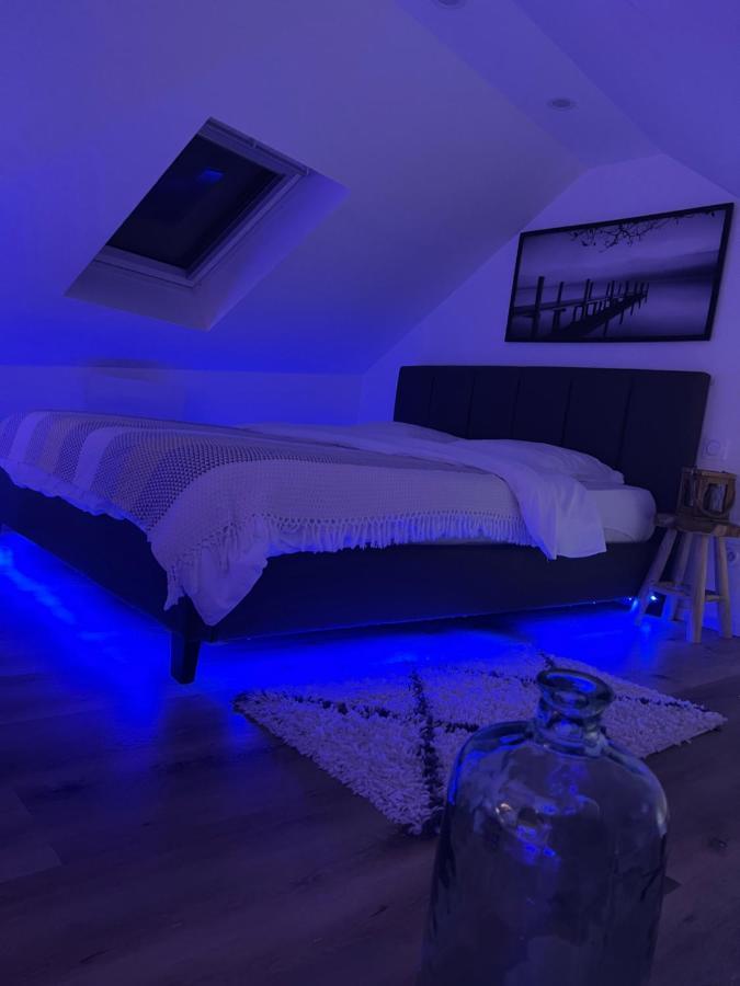 Loft ravissant avec parking gratuit Lägenhet Colmar Exteriör bild