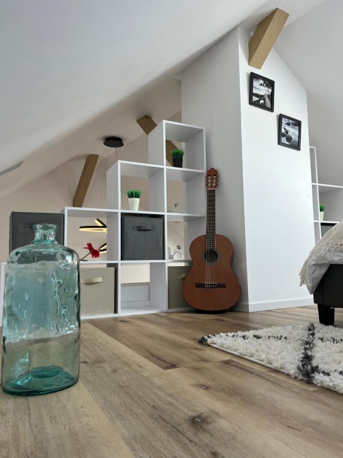 Loft ravissant avec parking gratuit Lägenhet Colmar Exteriör bild