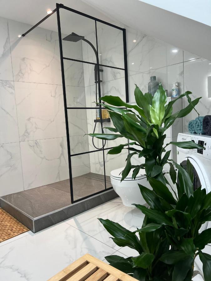 Loft ravissant avec parking gratuit Lägenhet Colmar Exteriör bild